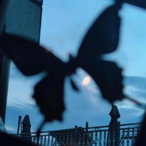 日本男女动漫18禁
